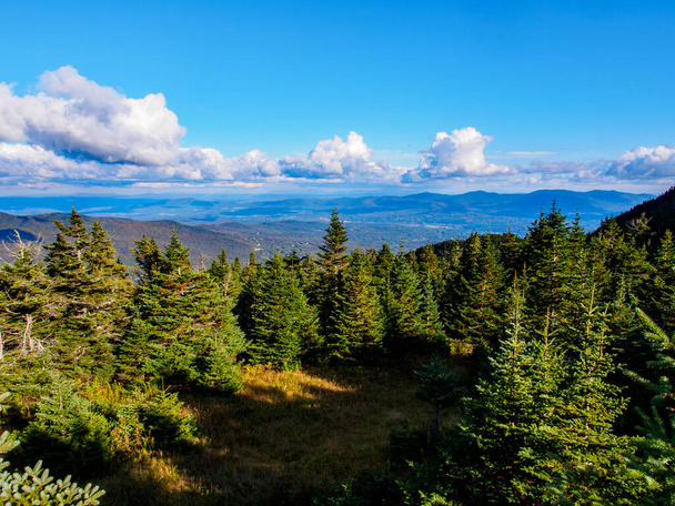 La vue depuis le mont Mansfield, la plus haute montagne du Vermont, aux États-Unis, comprend une large gamme de montagnes, pins, ciel bleu et nuages blancs. - Photo, image