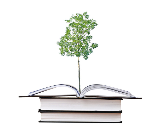 Дерево, растущее из книги
 - Фото, изображение