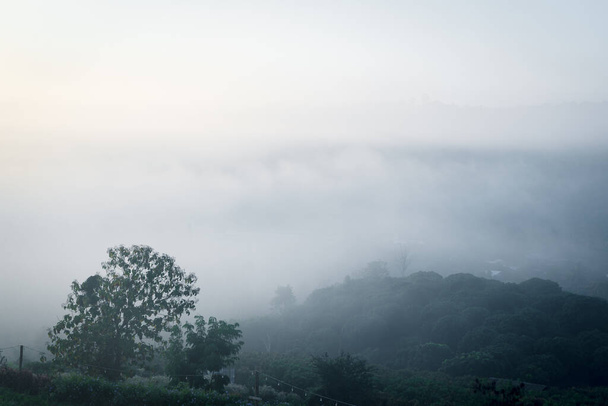 Güzel dağ ormanında gün doğumu. Yükselen güneş sisli dağ yamaçlarında. - Fotoğraf, Görsel