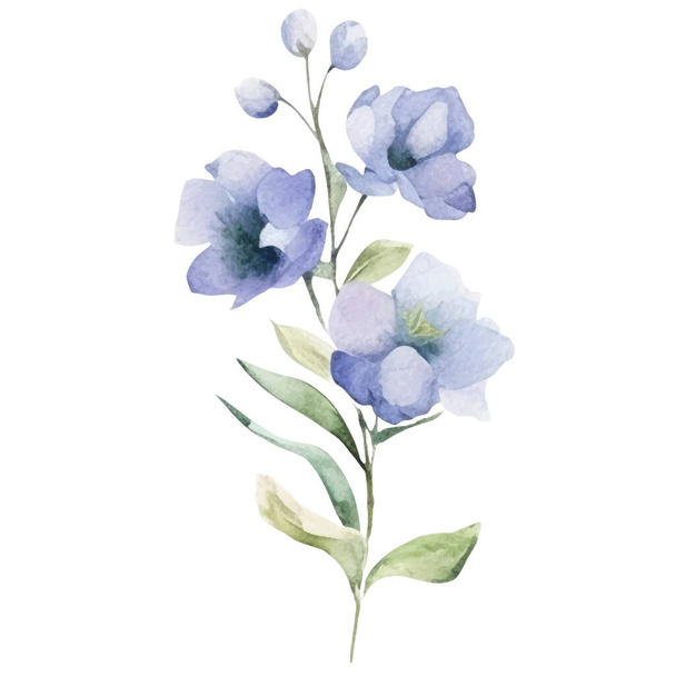 Květinová ilustrace akvarelu Ilustrace modrého a zeleného květu - Vektor, obrázek