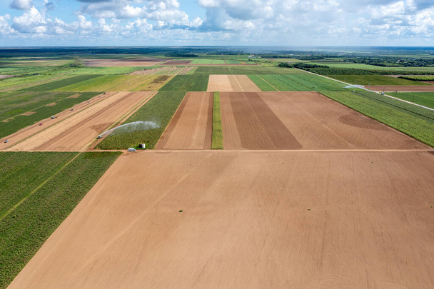 Вид с воздуха на посевные и непосаженные сельскохозяйственные поля и ирригацию в Хомстеде, Флорида под летними облаками. - Фото, изображение