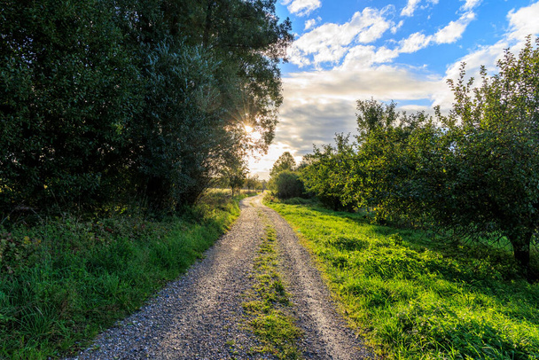 The sun's rays shine through the trees on a dirt road between the orchards in Siebenbrunn near Augsburg. - Photo, Image