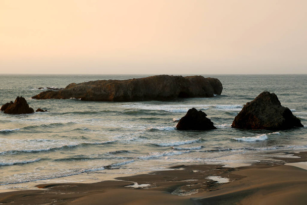 Piękna przyroda na wybrzeżu Oceanu Spokojnego w Ameryce - Zdjęcie, obraz