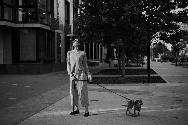 Young pretty female adult with small ginger dog in the bi city walking having fun. City view High quality photo - Φωτογραφία, εικόνα