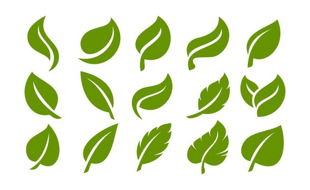 Набор простых плоских органических листьев дизайн шаблон. Зеленый набор природных листьев - Вектор,изображение