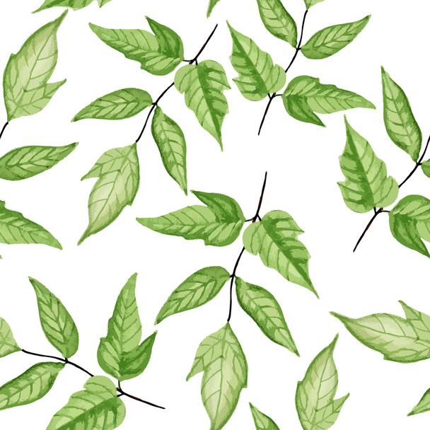Leaf pattern - Вектор, зображення