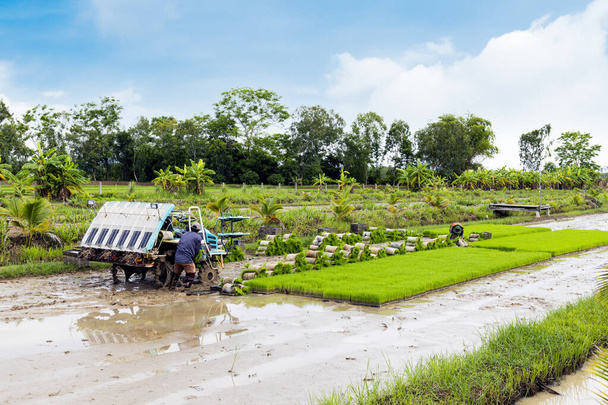 viimeisimmät edistysaskeleet riisin istutuskoneissa ja maatalousteknologiassa, mikä antaa Thaimaan viljelijöille mahdollisuuksia. Tuottavuuden ja maaseudun elinkeinojen parantaminen kehittyneiden koneiden ja uraauurtavien tekniikoiden sekä innovatiivisten tekniikoiden avulla - Valokuva, kuva