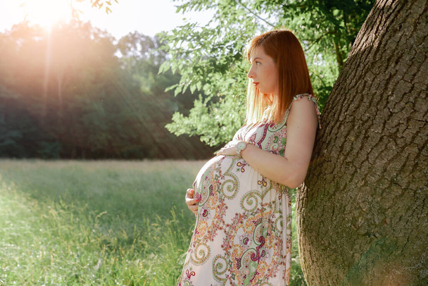 Portrait attractive red-haired young woman, pregnant, in summer dress, holding belly with hand, standing tree, in rays sun - Valokuva, kuva