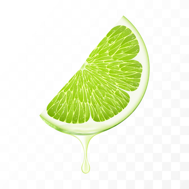 Sliced of green lime with juice dripping isolated on transparent background. Fresh slice of lime with essential oil dripping. Juicy fruit. Fresh citrus design. Realistic 3d vector - Foto, Imagen