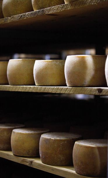 svislý výstřel hromady sýra na policích v obchodě - Fotografie, Obrázek