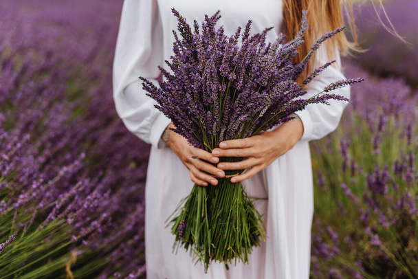 Close-up hands of woman holding purple lavender flowers bouquet. Female hands hold fresh cut large bundle of organic lavender during bloom time. Gathering bouquet, hand-picked rustic lavender bundles. - Foto, afbeelding
