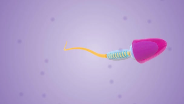 A spermiumok olyan férfi reproduktív sejtek, amelyek a herékből származnak. - Felvétel, videó