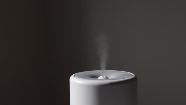 Difusor, purificador de ar ou umidificador libera forte fluxo de vapor frio com óleo essencial na sala. Aroma óleo aromaterapia a vapor. Tratamento de saúde corporal. Spa e bem-estar. - Filmagem, Vídeo