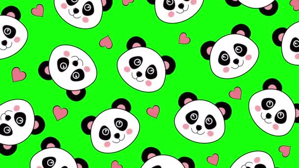 Yeşil arkaplanda panda deseni izole edildi  - Video, Çekim