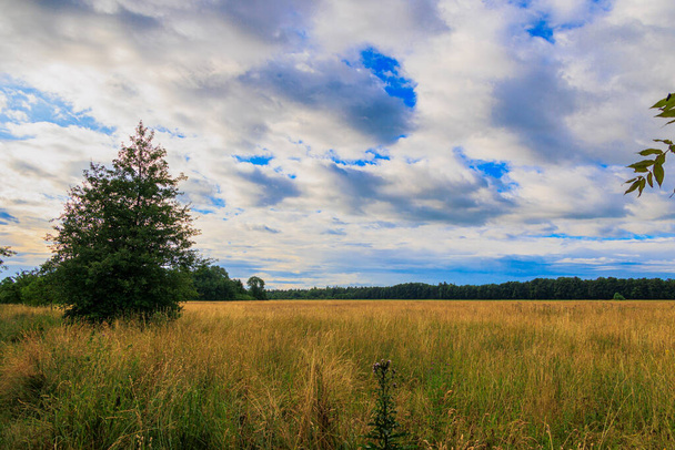 Vista sobre os prados do pomar até a borda da floresta em Siebenbrunn, perto de Augsburg, em um dia nublado - Foto, Imagem