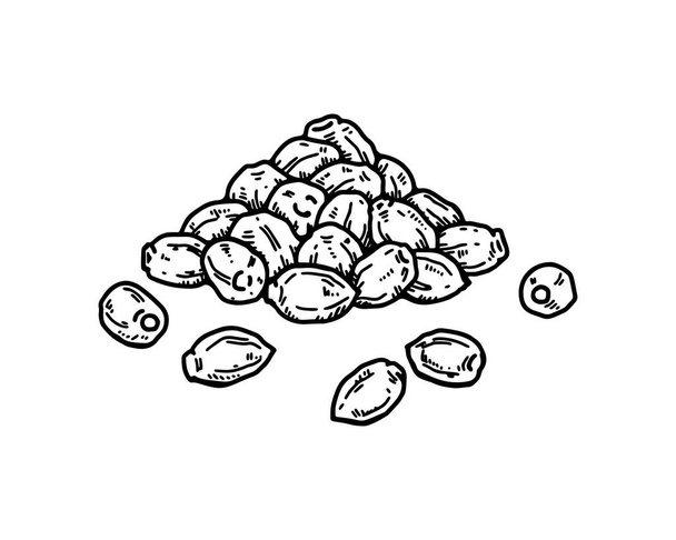 Cannabis seeds pile.  Vintage vector illustration in sketch style. Hempseeds handful - Vettoriali, immagini