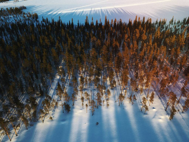 Légi kilátás egy havas erdő - Fotó, kép