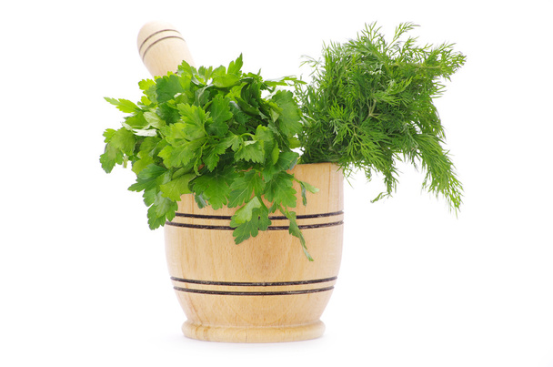 Herbs on a white - Photo, Image