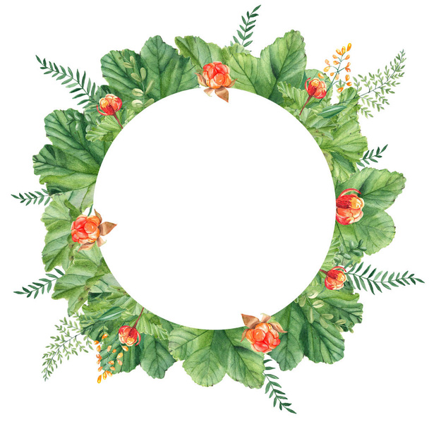 Cloudberry leaves, berries, green branches, yellow wildflowers. Watercolor circle summer forest frame isolated on white background. Hand drawn botanical illustration. Can be used for logo design, as - Foto, Imagem