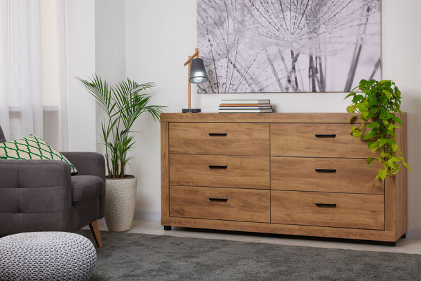 Wooden chest of drawers in modern living room interior - Foto, Imagem