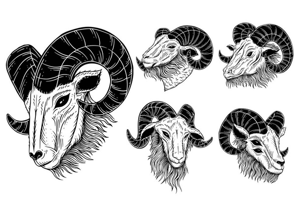 Set bundel satanische geit hoofd hoorns schaap schedel donker kunst zwart wit voor tattoo kleding hand getekend illustratie - Vector, afbeelding