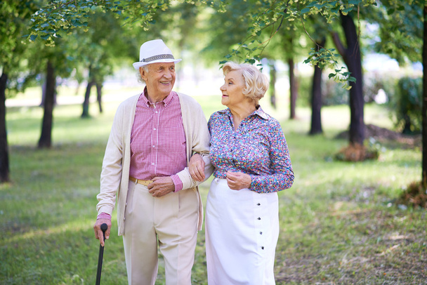 Elegant seniors taking a walk - Foto, Imagen