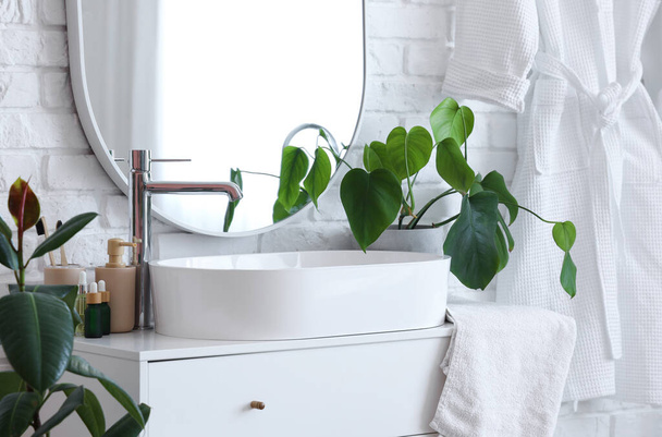 White sink with bath accessories  on chest of drawers and houseplants in bathroom - Foto, Imagem