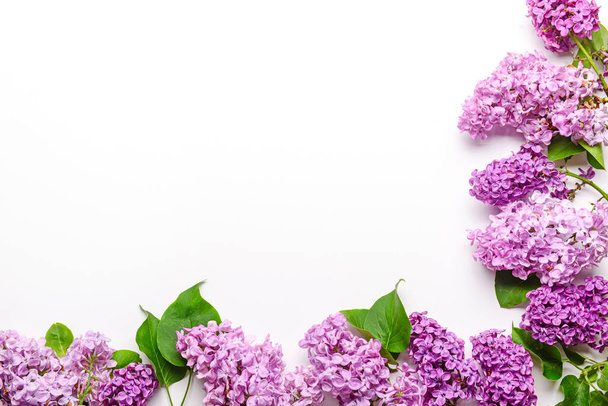 Hermosas flores de color lila brillante sobre fondo blanco - Foto, imagen