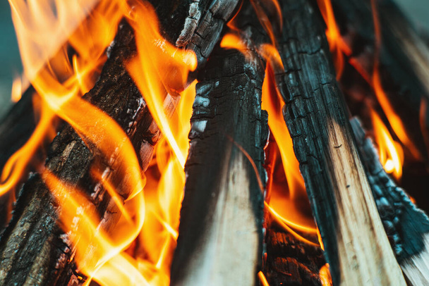 Μια φωτεινή φλόγα φωτιάς πάνω από μια φωτιά κατασκήνωσης. Ξύλινο ξύλο στοιβαγμένο σε μια πυραμίδα καίγεται. Η φλόγα της φωτιάς από κοντά. Ο λευκός καπνός ανεβαίνει πάνω από τη φωτιά. Φωτιά μπάρμπεκιου. Τουριστική έννοια - Φωτογραφία, εικόνα