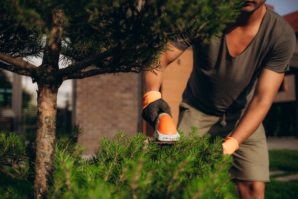 Hedge Trimming Job. Jardineiro Caucasiano com Aparador de Sebes de Gasolina Moldando Parede de Thujas em um Jardim
 - Foto, Imagem