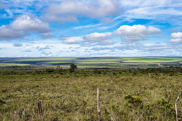 Campi agricoli rotondi coltivati in un'azienda agricola tra Ibicoara e Mucuge nel Parco Nazionale Chapada Diamantina, Bahia, Brasile - Foto, immagini