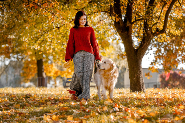 Beautiful girl with golden retriever dog in autumn park with yellow leaves. Pretty young woman with purebred doggy labrador at fall season at nature together - Фото, зображення