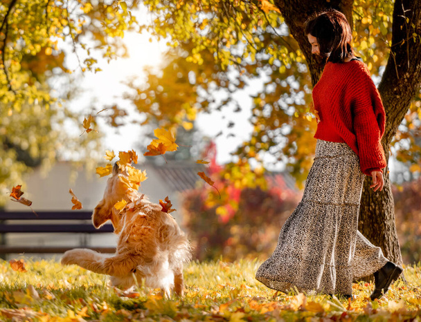 Beautiful girl with golden retriever dog holding yellow leaf in hand in autumn park. Pretty young woman playing with purebred doggy labrador at fall season at nature - Zdjęcie, obraz