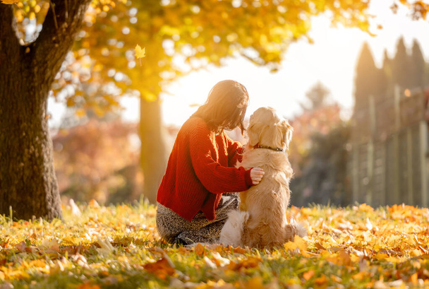 Beautiful girl hugging golden retriever dog in autumn park sitting in yellow leaves and looking at sun. Pretty young woman with purebred doggy labrador at fall season at nature - Photo, image