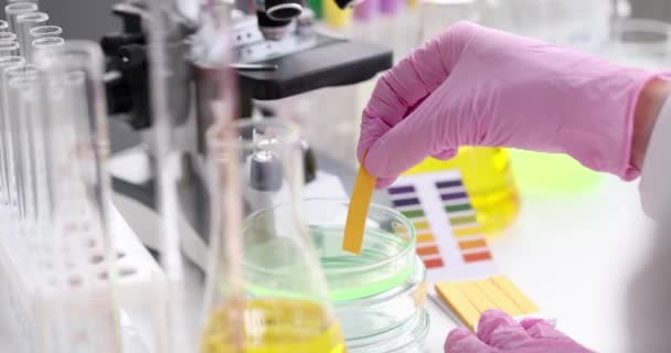 Der Wissenschaftler mit Handschuhen forscht im mikrobiologischen Labor an pH-Strahlen. Biologe überprüft chemische alkalische Analysen im Labor. Biotechnologie und Medizinkonzept. - Filmmaterial, Video