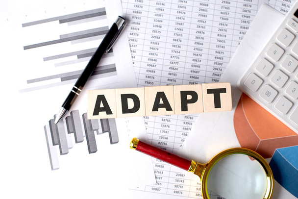 ADAPT-Text auf einem Holzblock auf Graphenhintergrund mit Stift und Lupe - Foto, Bild
