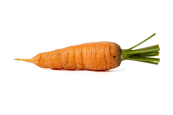 Молодая свежая морковь, изолированная на белом. - Фото, изображение