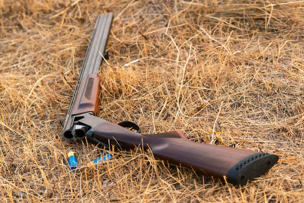 double-barreled shotgun with cartridges on  the  autumn grass - Foto, Imagem