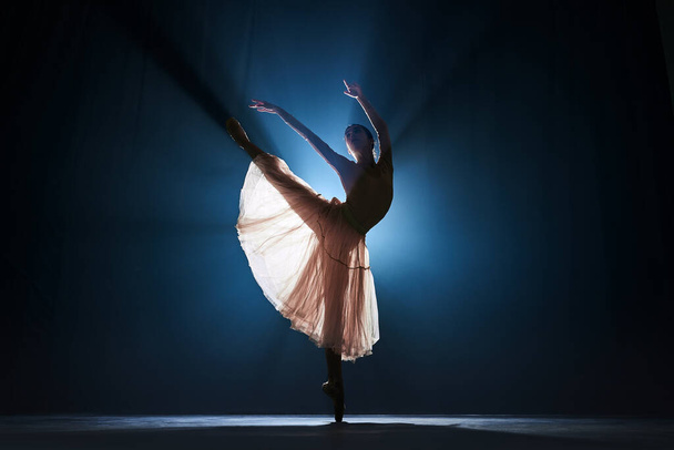 Elegant, teder, slank, getalenteerd meisje, vrouwelijk ballet dansen tegen donkerblauwe achtergrond met schijnwerpers. Concept van kunst, klassiek ballet, creativiteit, choreografie, schoonheid, reclame - Foto, afbeelding