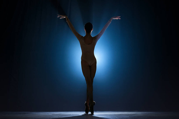 Silhouette of tender, graceful young woman, ballerina performing, dancing over dark blue background with spotlight. Concept of art, classical ballet, creativity, choreography, beauty, ad - Foto, imagen