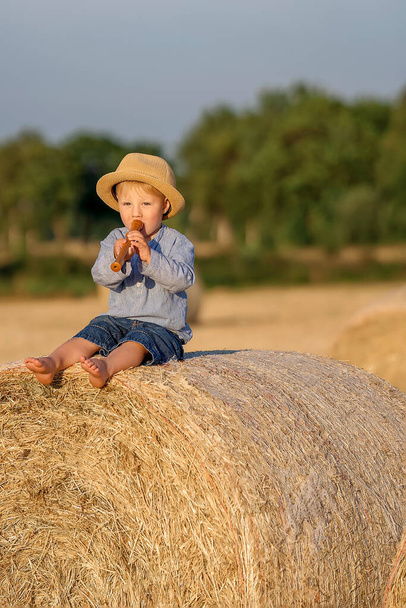 The kid sits on a haystack and cheerfully plays the musical fife. Summer season. Childhood - Fotografie, Obrázek