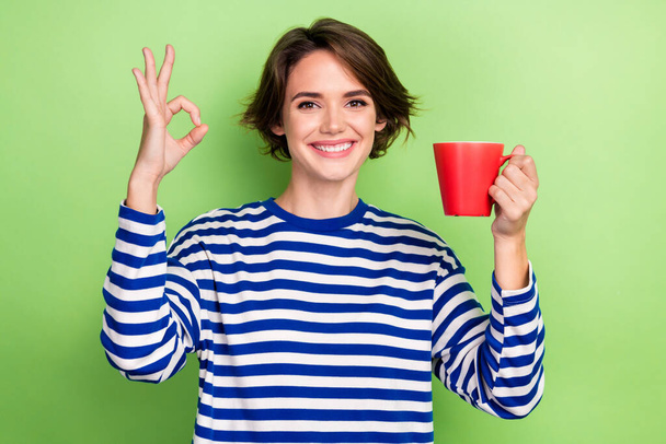 Portrait of good mood pleasant girl wear striped stylish sweatshirt hold cup of cacao showing okey isolated on green color background. - Foto, Bild