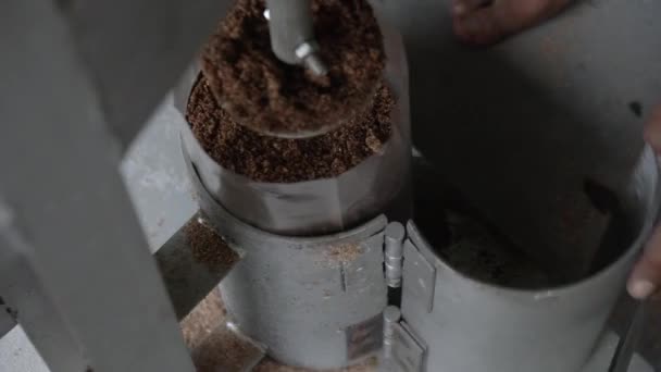 O processo de cultivo de cogumelos ostra em casa, a partir da instalação inicial do equipamento para o processo de colheita dos cogumelos a serem transformados em alimentos - Filmagem, Vídeo