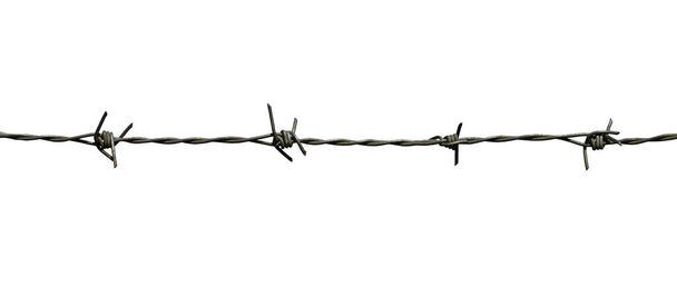 barbed wires isolated on white background with clipping path - Foto, Imagem