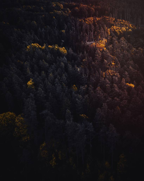 Letecký pohled na Schwarzwald, černý les, Německo - Fotografie, Obrázek