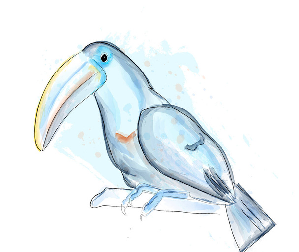 Tucano bird vector watercolor. blue poster - Vektör, Görsel