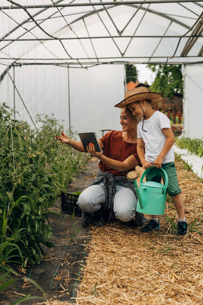 Mother and son are having fun doing inspection of vegetables i their greenhouse. - Foto, Imagem