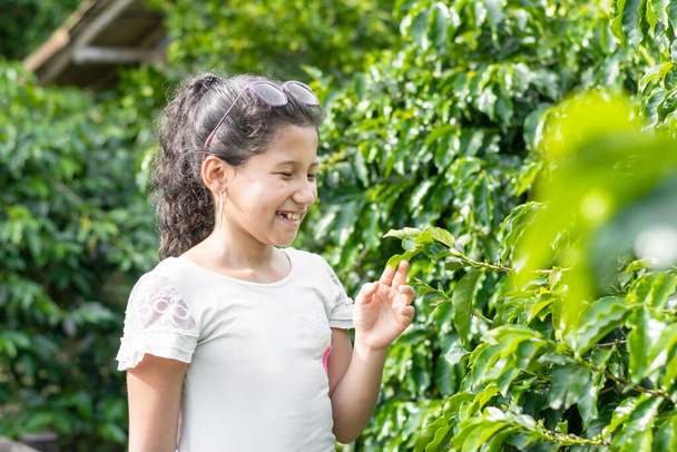 A very happy and smiling little brunette girl holding an Arabica coffee leaf in her hand, while learning and educating herself about this plant - Foto, Imagen