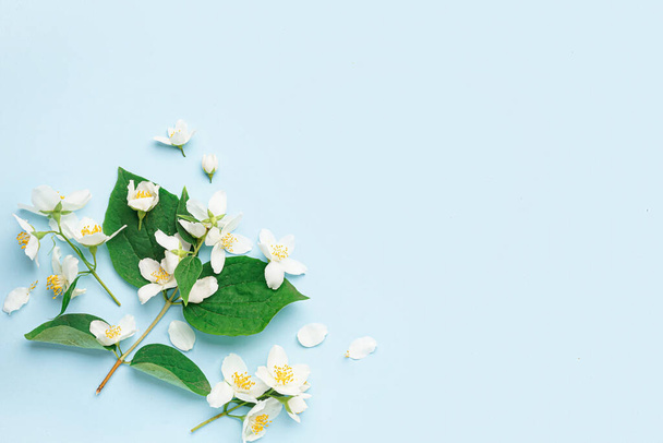 Fresh jasmine flowers with leaves on color background - Photo, image