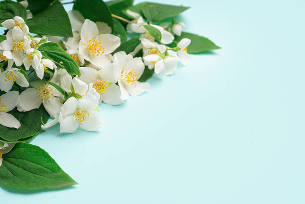 Fresh jasmine flowers with leaves on color background - Foto, afbeelding
